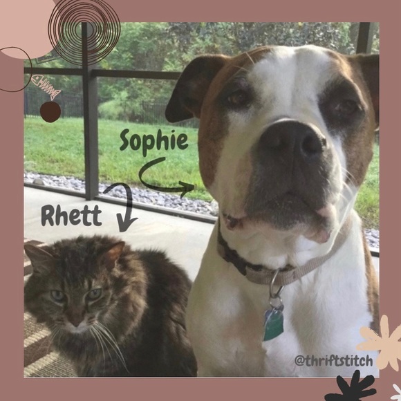 Please Read - Closet Info - Picture 5 of 5